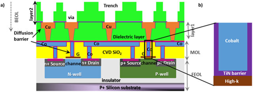 image-20250113220214660