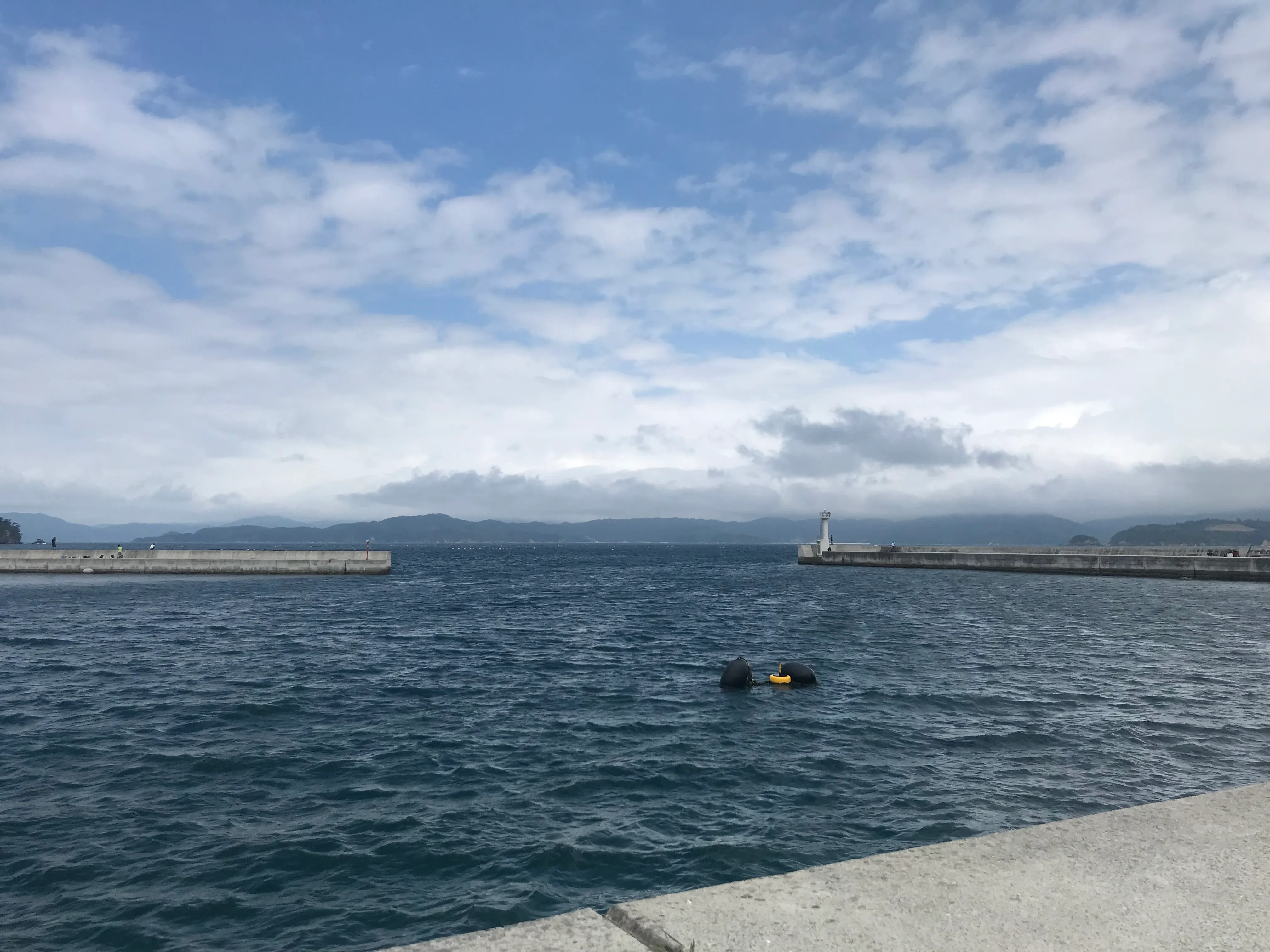image-20230424231956069
