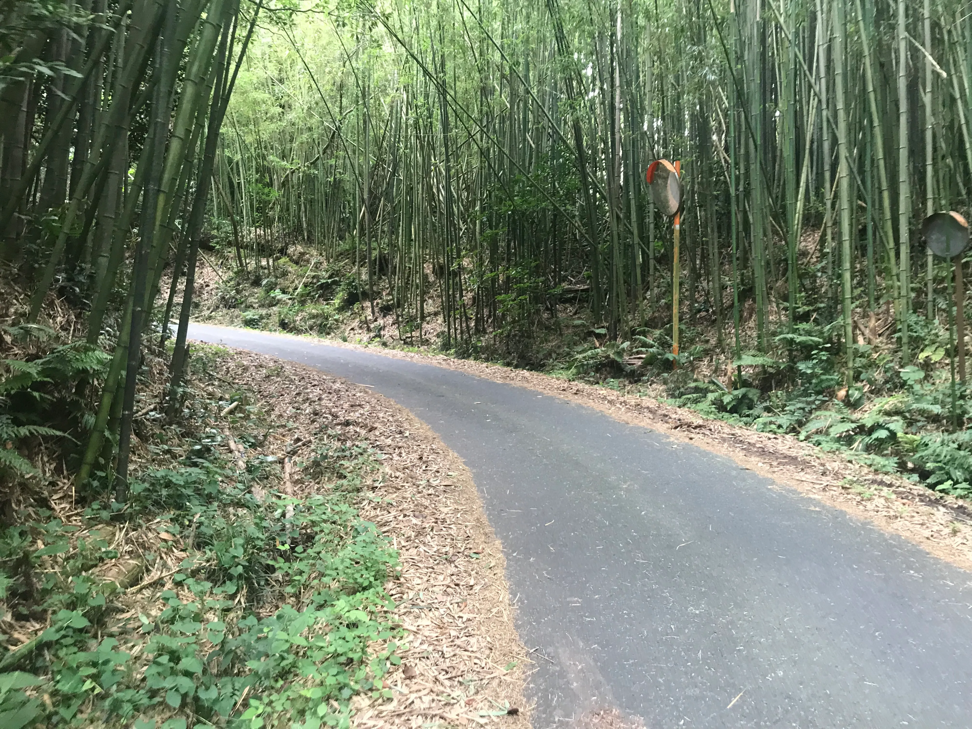 image-20230424232106133