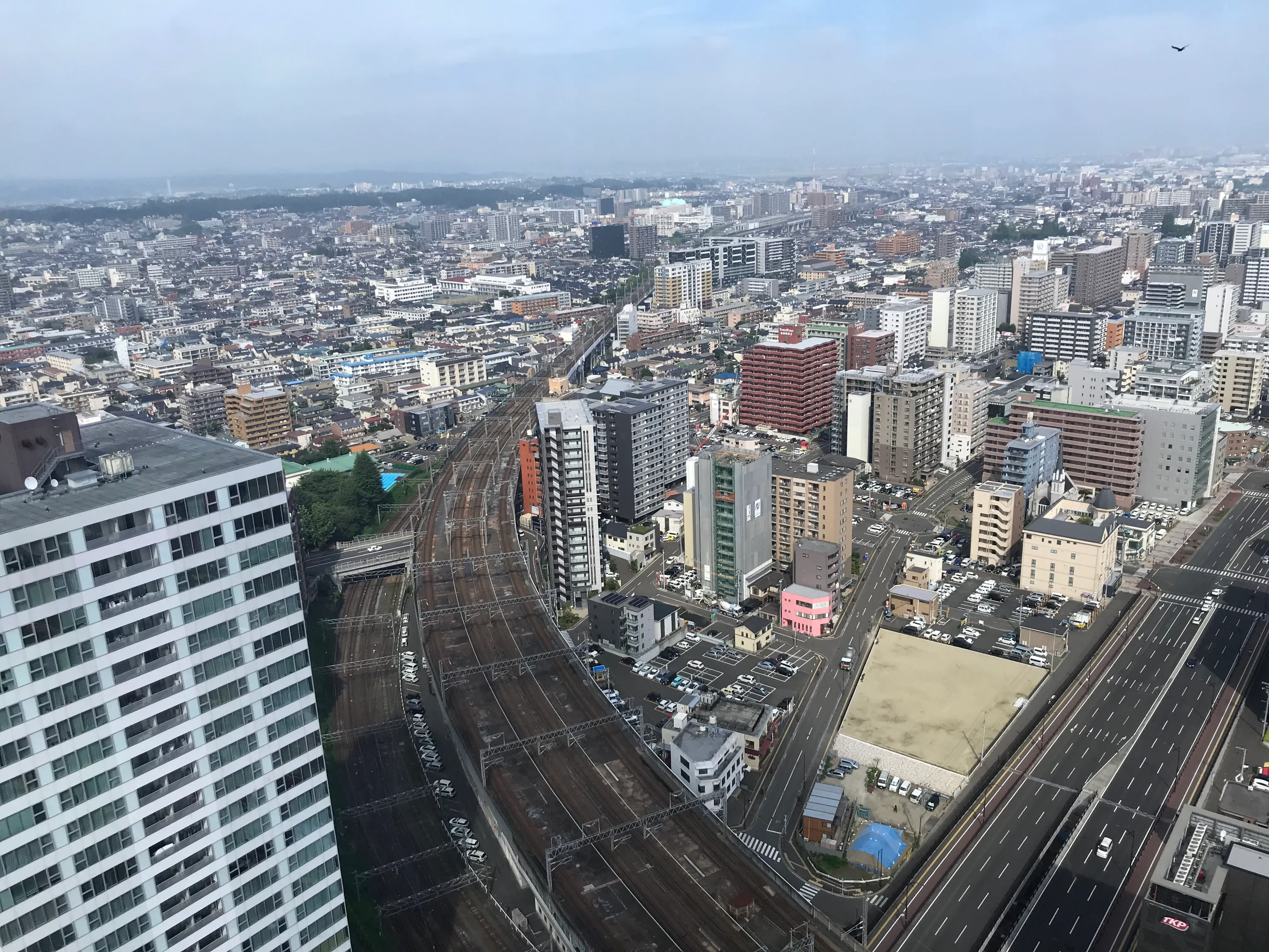 image-20230424235424290